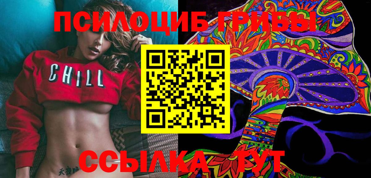 Галлюциногенные грибы Psilocybe  Йошкар-Ола  Псилоцибиновые грибы прущие грибы 