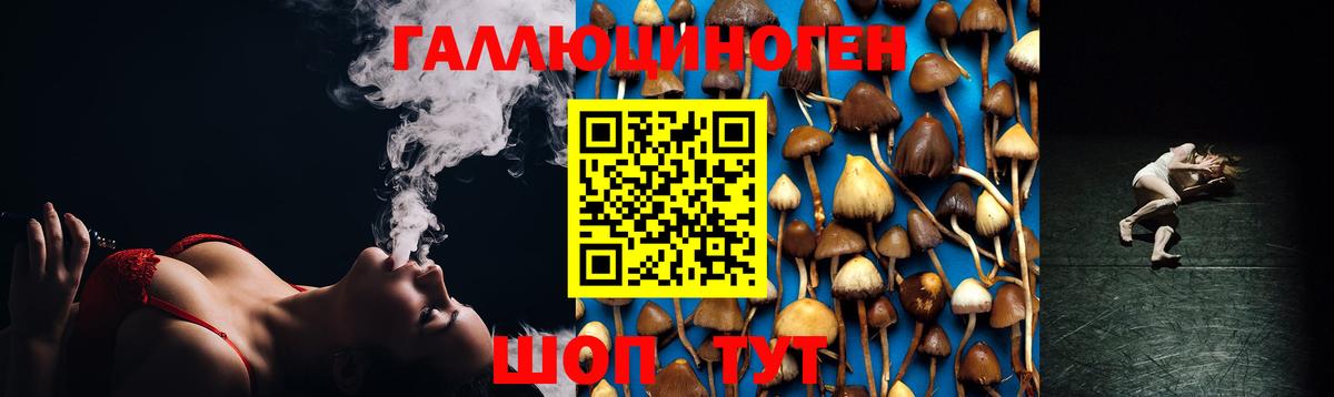 Йошкар-Ола  где купить наркоту  Вход с VPN  Галлюциногенные грибы мухоморы 